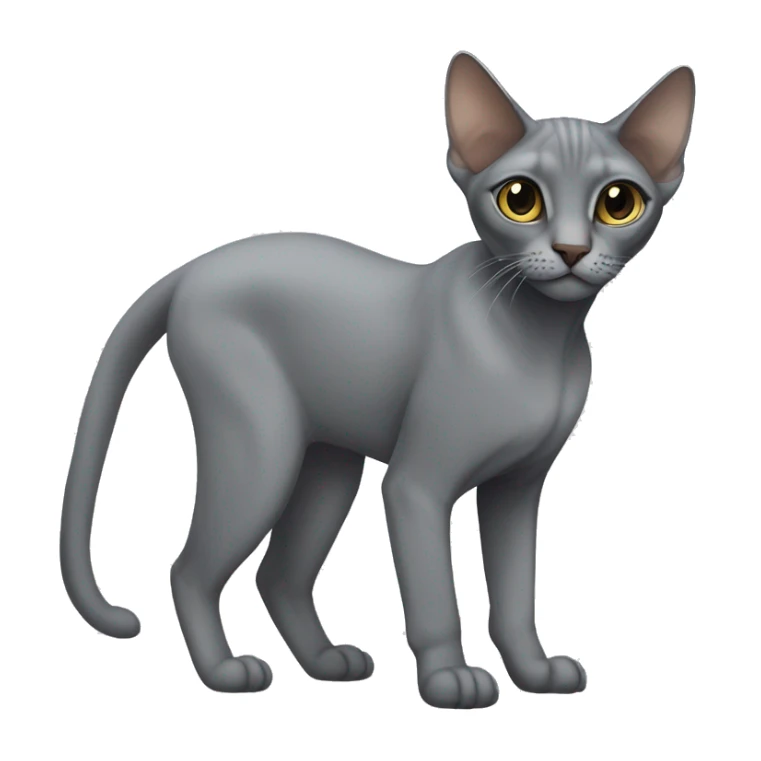 Grey cat of Donna’s sphinx full-grown sticker