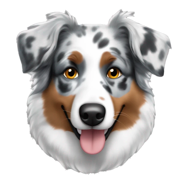 Australian shepherd dog blue merle  sticker