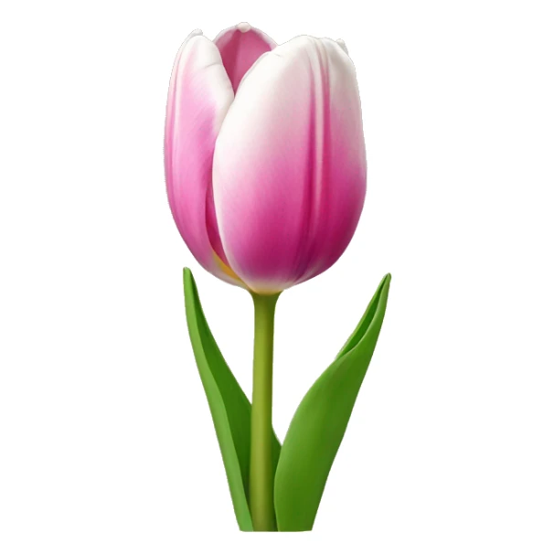 tulip sticker