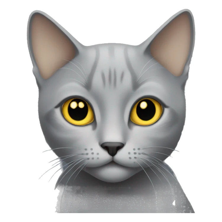 Grey cat with gold eyes short hair  sticker