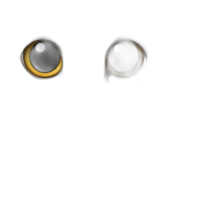 Baby maine coon sticker