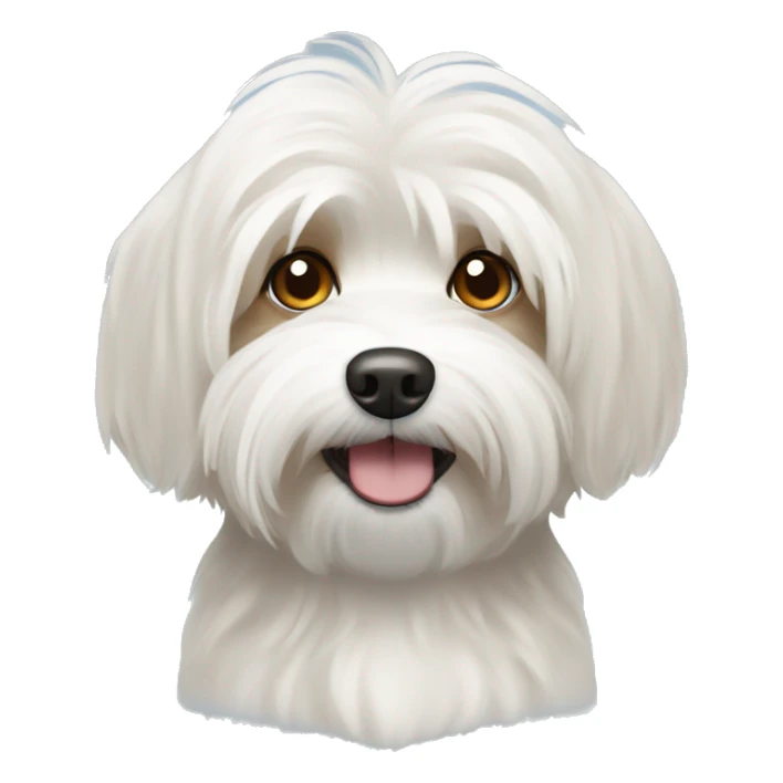 White havanese dog with tan eyes  sticker
