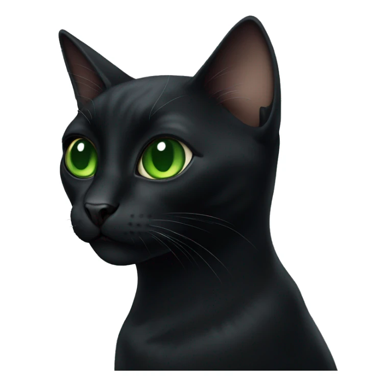 Black cat with big green eyes  sticker
