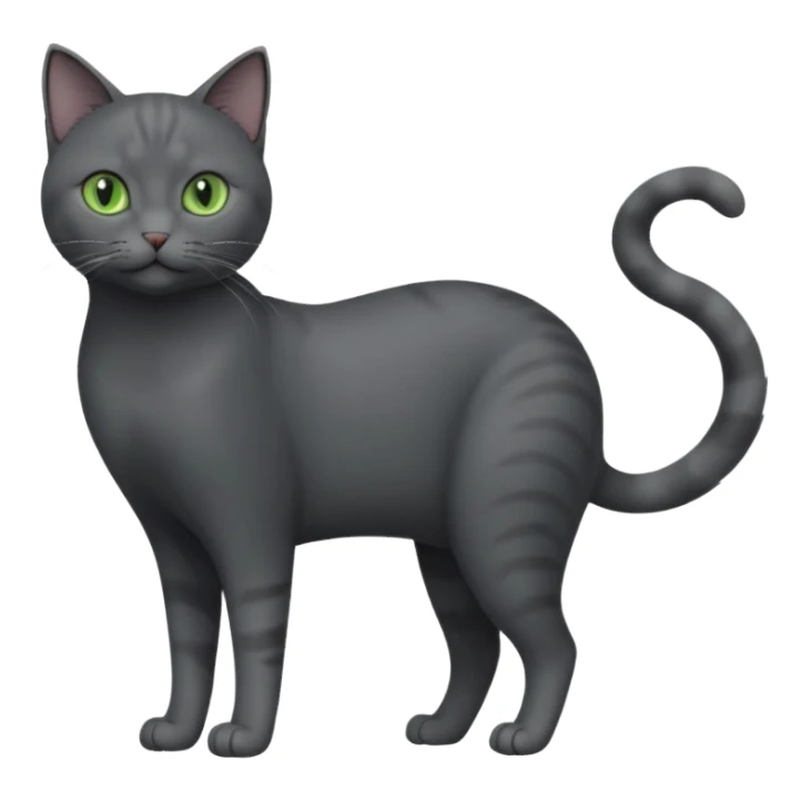 full body view of beautiful female solid dark grey cat with green eyes, grey face, white toes/paws and small white patch on her chest sticker