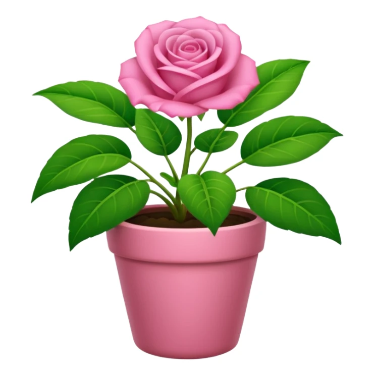 Una planta bonita, con su masetá color rosa sticker