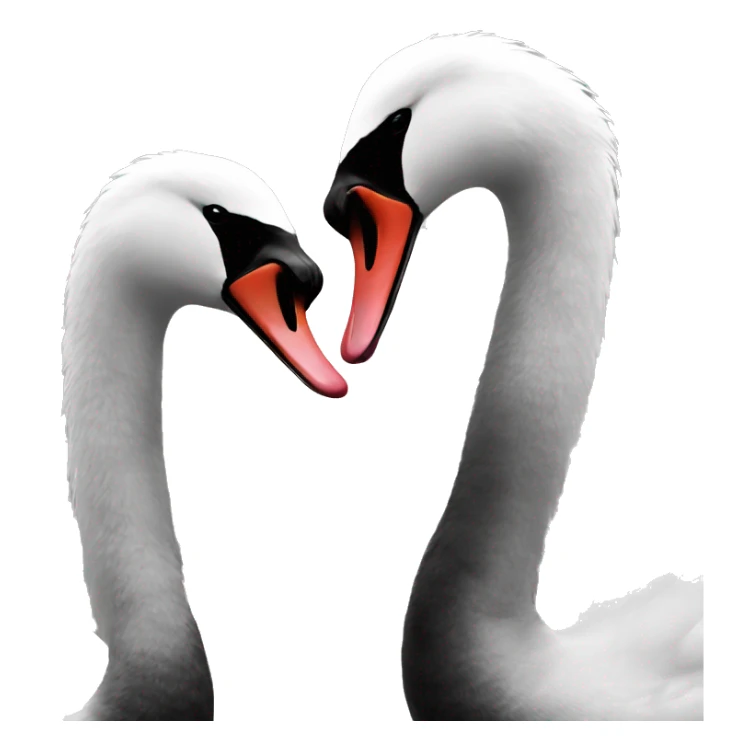 black and white swans kissing sticker