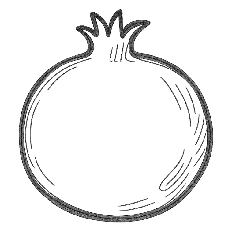 hand drawn outlined pomegranate icon sticker