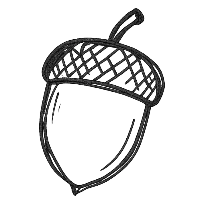 acorn, hand drawn black outline style sticker