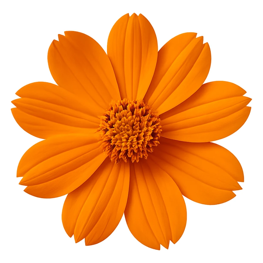 Remove the background, keep only the blooming flower in the image, transparent background. sticker
