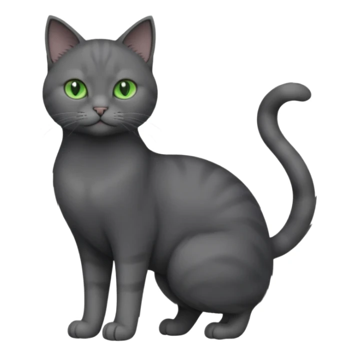 full body view of beautiful female solid dark grey cat with green eyes, grey face, white toes and white patch on chest sticker