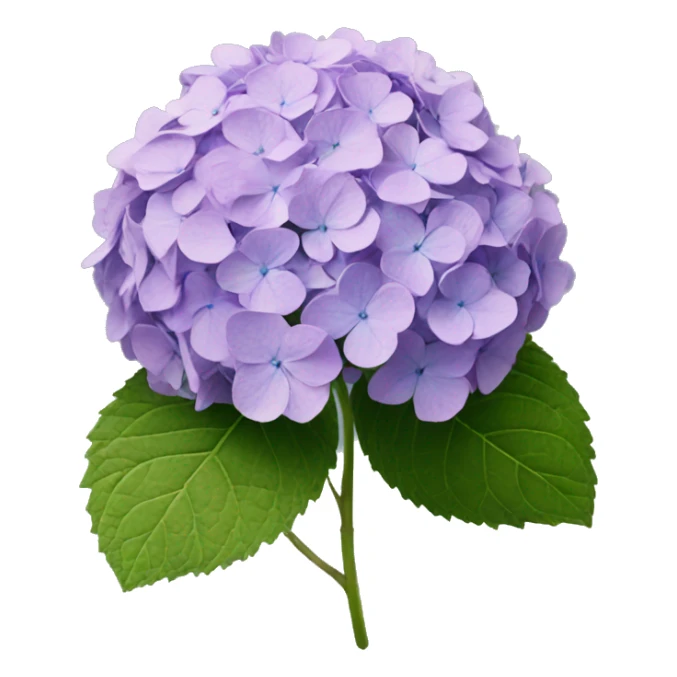 Hydrangea sticker