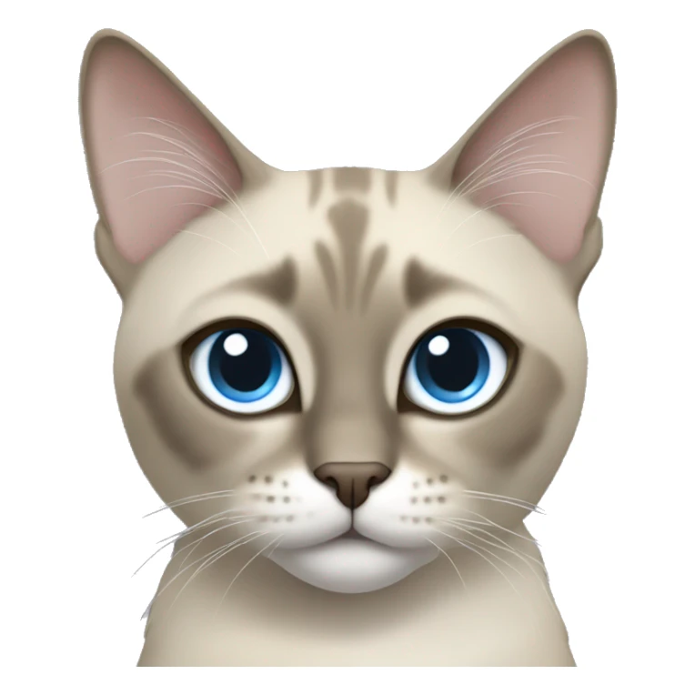 Thai breed cat with a light cream-brown body, dark gray face, ears, and paws. Short fur, sharp ears, and striking light blue eyes with an intense gaze. sticker