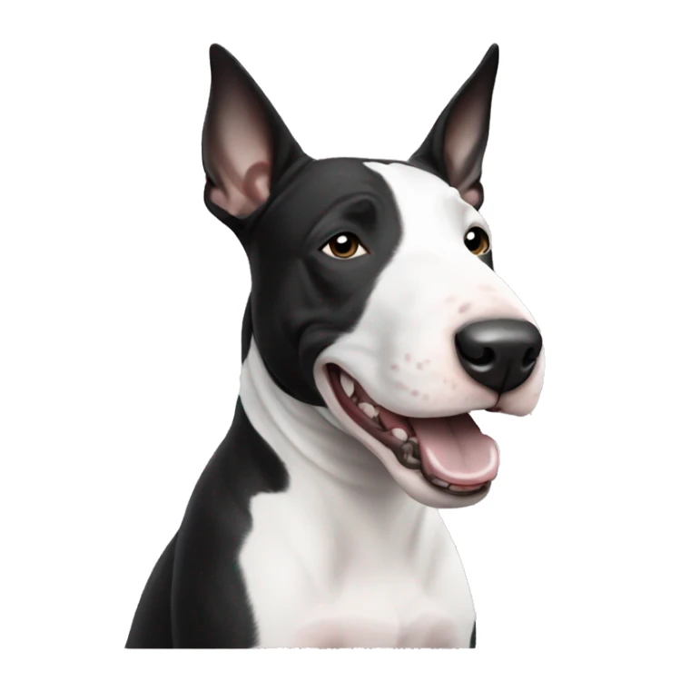 hyped black and white bull terrier sticker