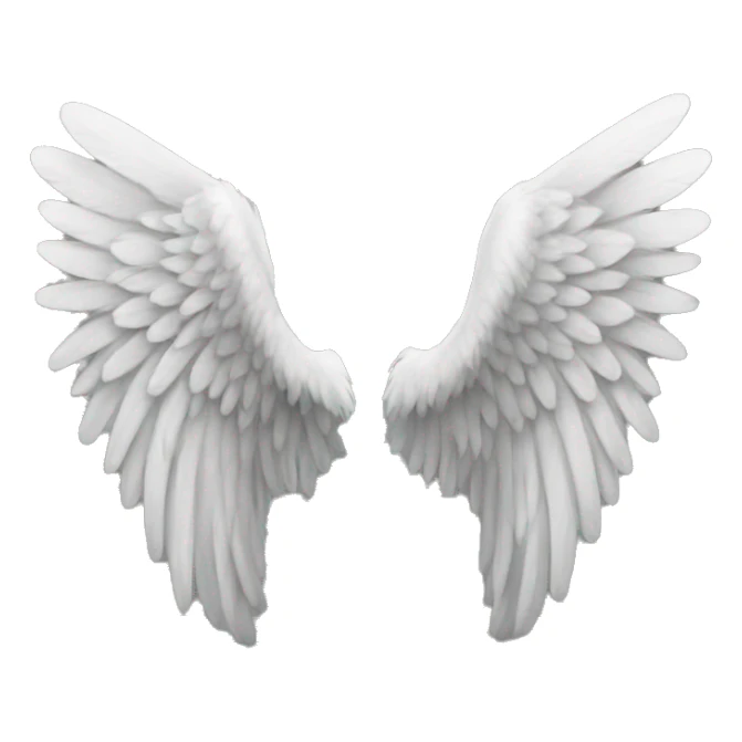 Angel wings  sticker