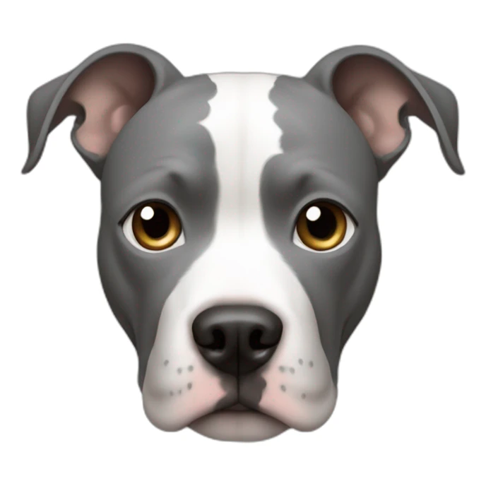 pitbull white with a gray circle around the right eye sticker
