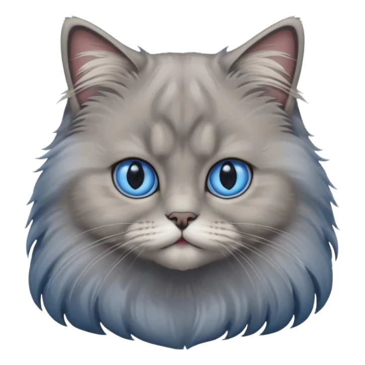 A cat which is a brittish longhair whit is gray color and hes eyes are blue sticker