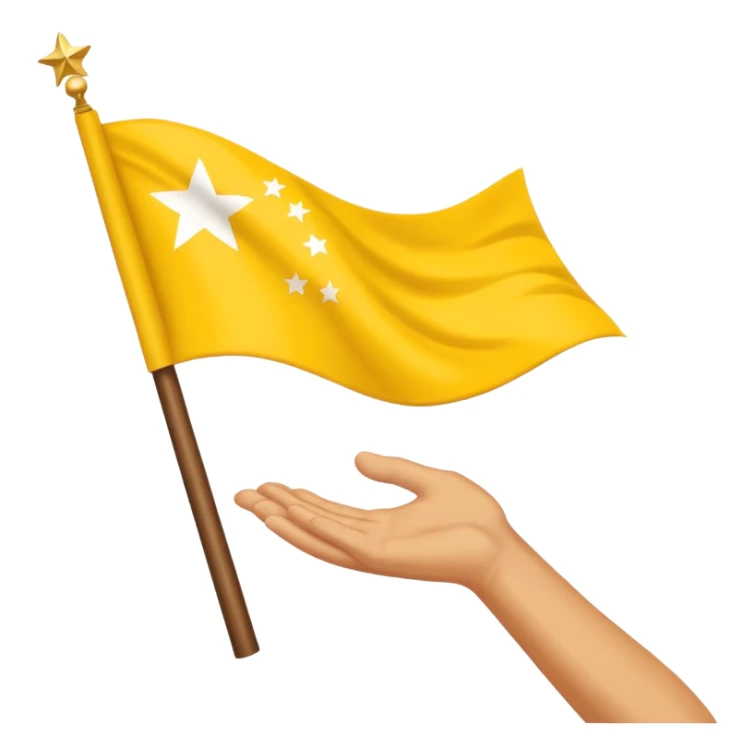Chinar flag it has 80,000 stars and a hand sticker