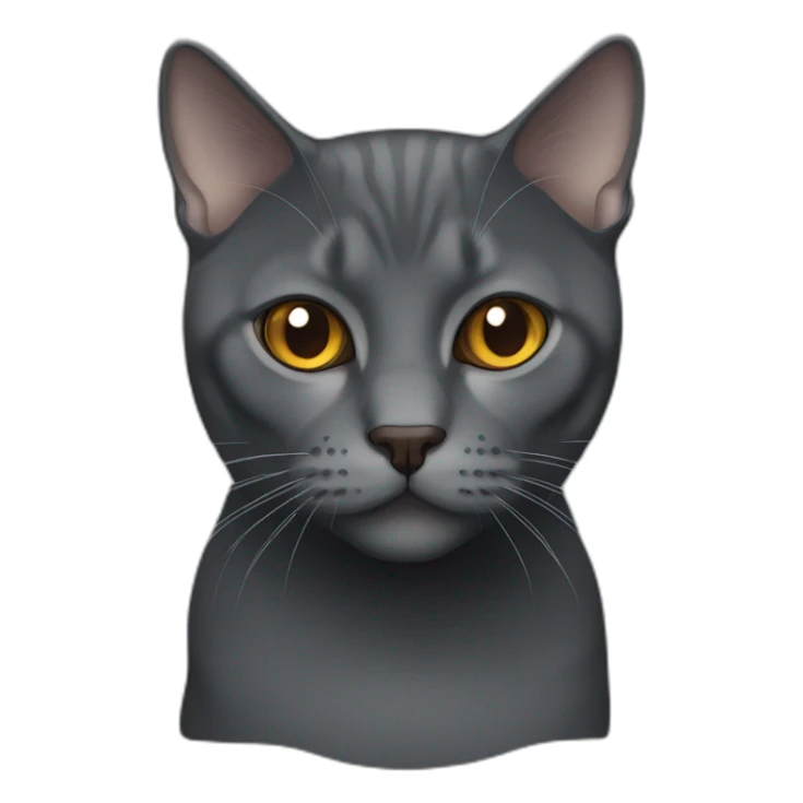 dark grey brittish shorthair cat with caramel eyes sticker
