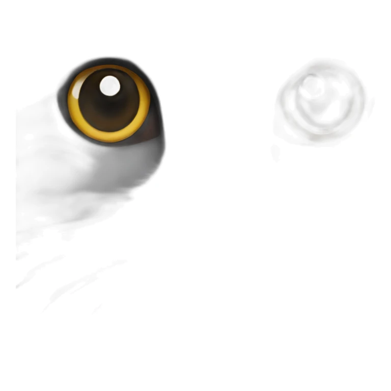 all darkgray Scottish Fold Cat long hair broken ear sticker