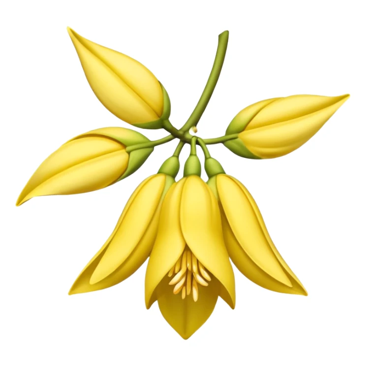 ylang ylang flower little closed sticker
