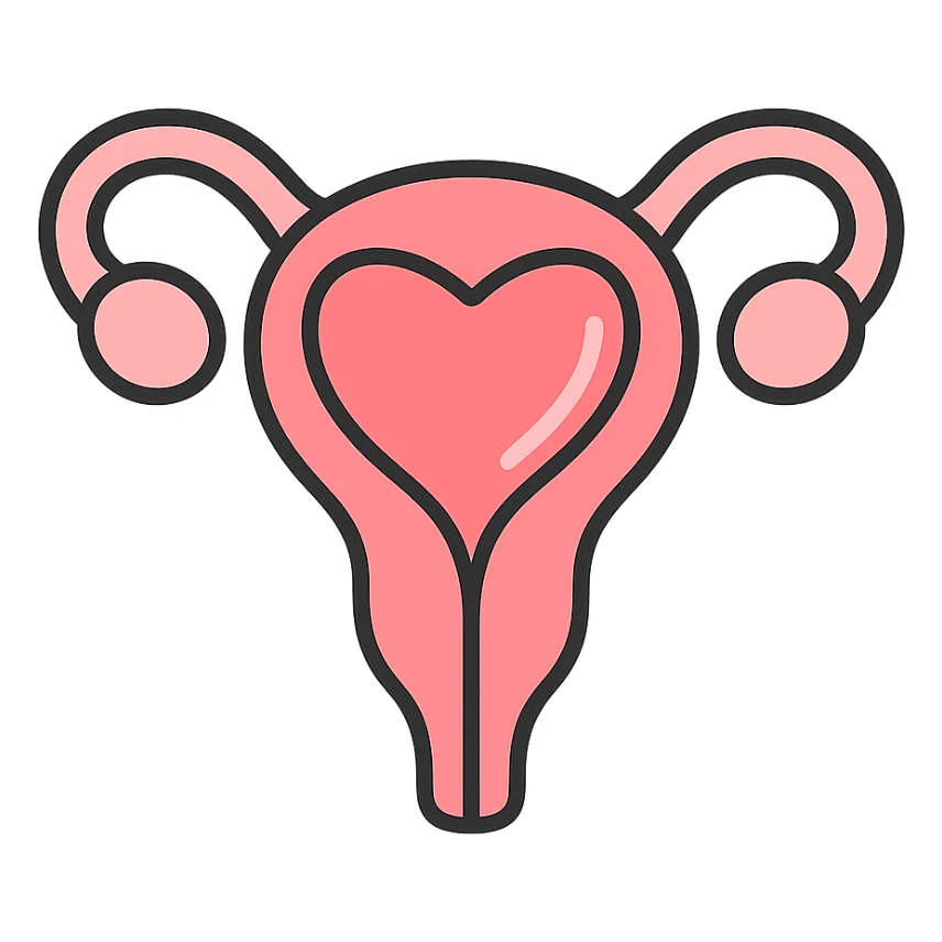A clean, minimalistic vector illustration of a simplified uterus icon, designed as a stylized flower or heart shape with upward-sweeping fallopian tube 'horns'. Use smooth, well-defined lines with a modern flat design. Apply soft inner shadows and subtle highlights to give depth and gloss without breaking the flat aesthetic. Keep the design centered, symmetrical, and elegant. Transparent background. Color palette: soft pinks, muted reds, and gentle white highlights sticker