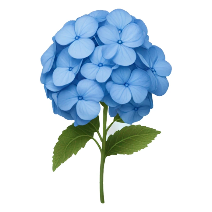 One flower of a blue hydrangea flower sticker