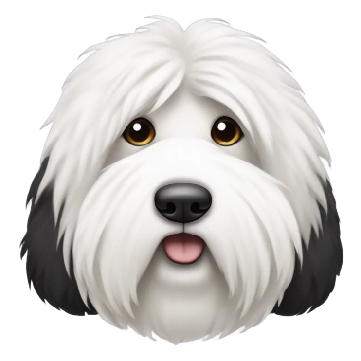 Old English sheepdog with a half and half face like a black (left) and white (right) cookie sticker