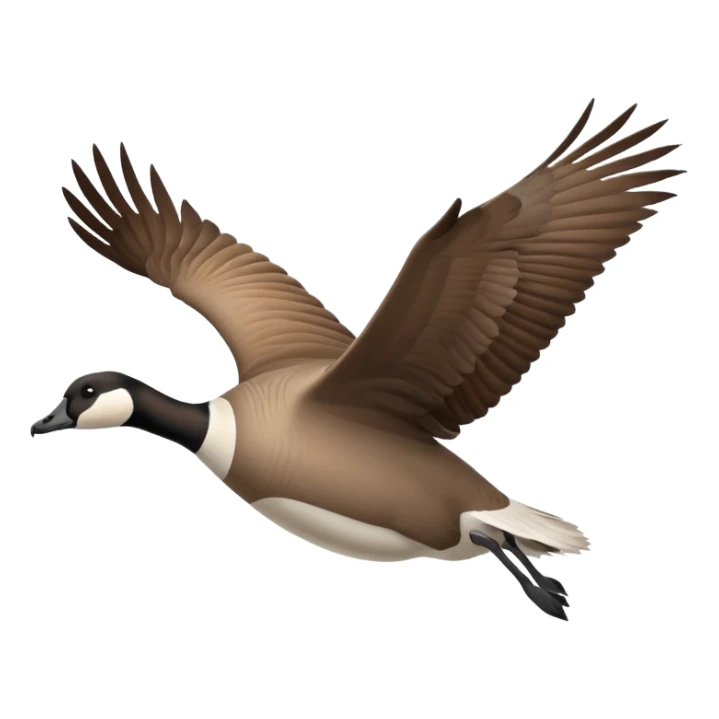 The Canada Goose Is Flying Thanksgiving Day sticker