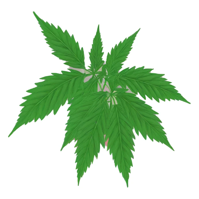 420 hemp person hemp plants chill hemp leaves vaporwave 420 sticker