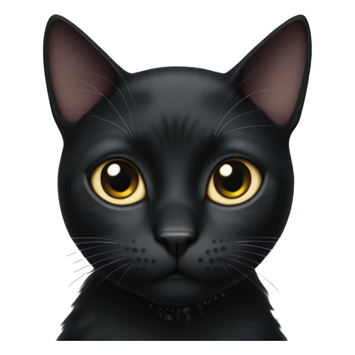 Black cat with a small white spot on her chest sticker