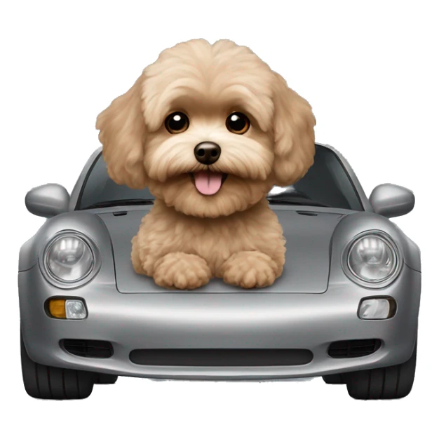 Brown Maltipoo in a grey Porsche  sticker