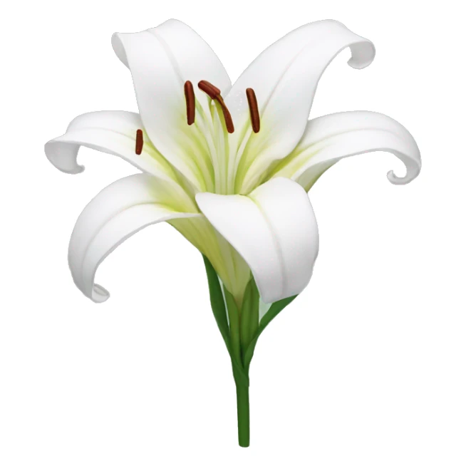 Lily flower sticker