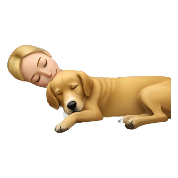 woman asleep with golden retriever  sticker