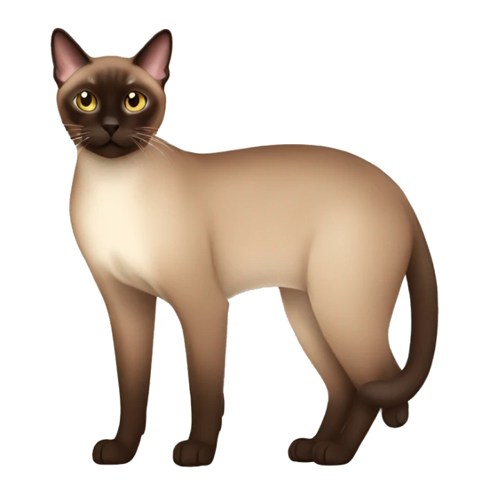 dark brown tonkinese Cat Full Body sticker