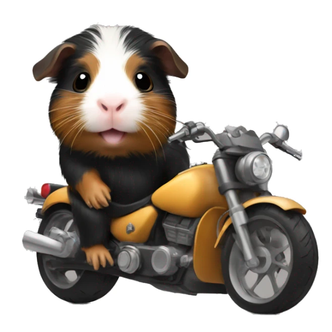 Black and tan guinea pig on motorcycle  sticker