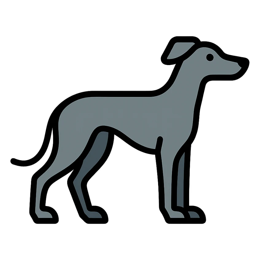 grey greyhound, full body, looking to the side, racing dog, clean modern icon style sticker