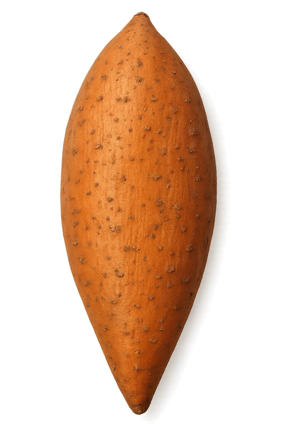 patata dolce vista dall'alto sticker