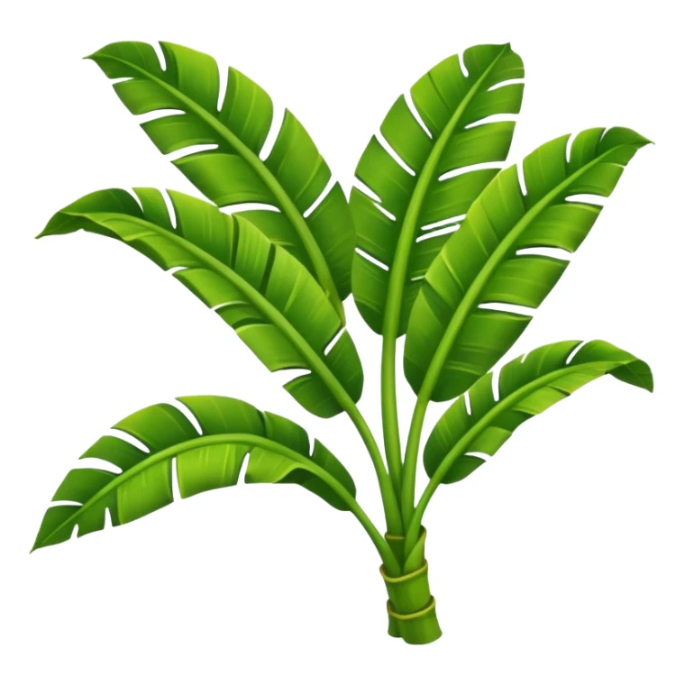 A banana leaf swaying gently in tropical air.































































 sticker