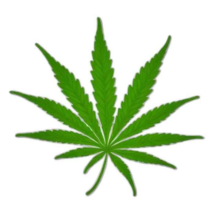 legalize cannabis now sticker