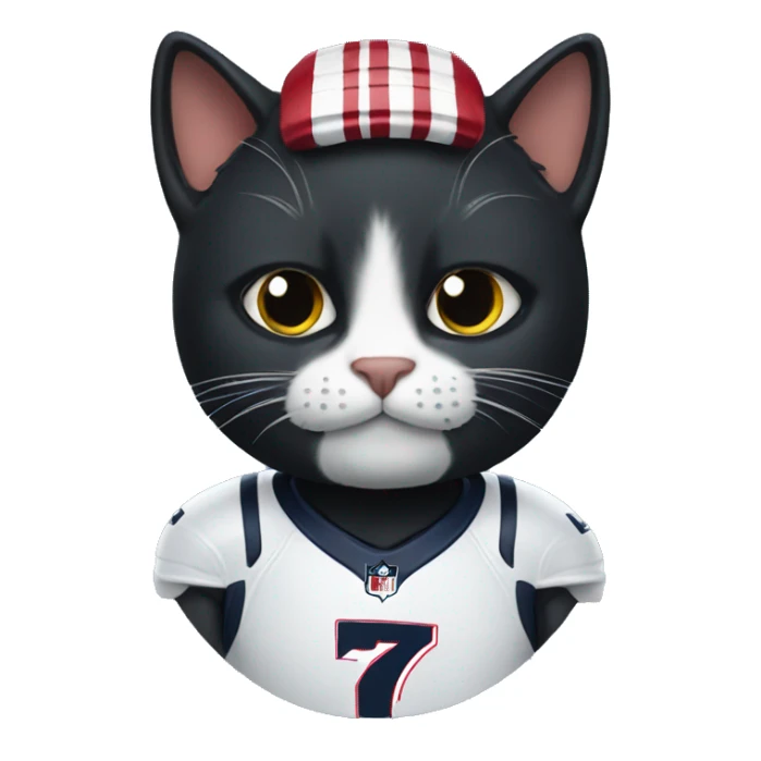 black cat wearing New England Patriots Jersey sticker