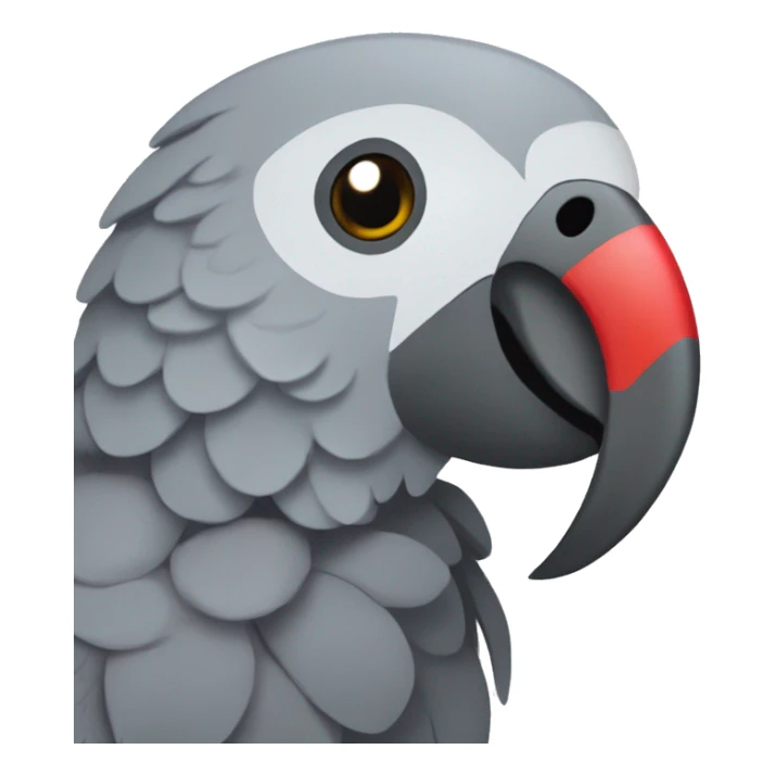 African grey parrot with red feather on his tail and not on his head with dark grey beak sticker