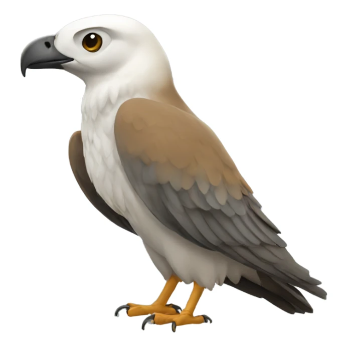 falcão-peregrino sticker