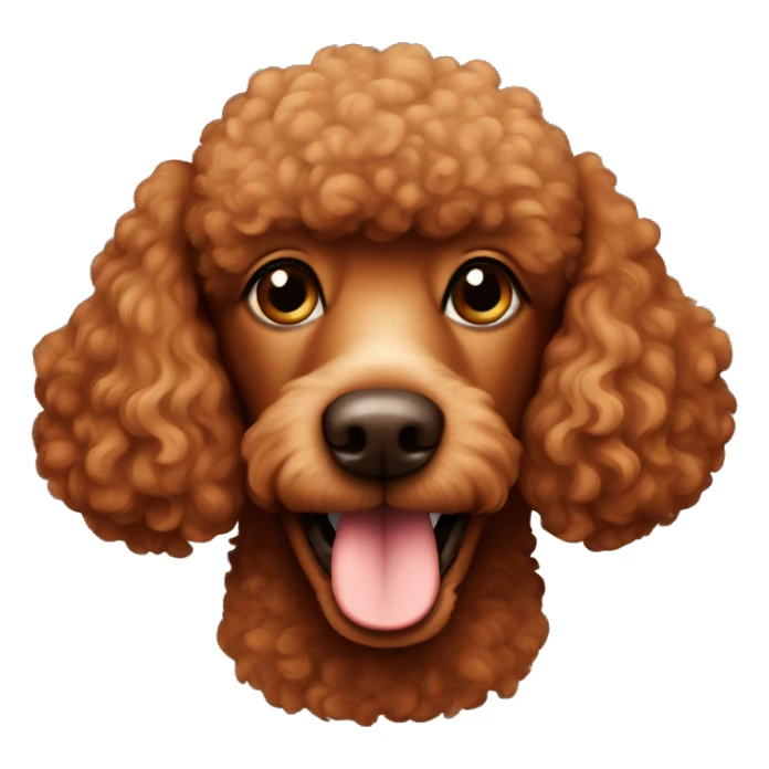 The muzzle of a brown-red poodle sticker