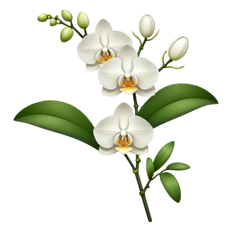 Single elegant orchid stem with several blooms on one stalk and a few green leaves at the base sticker