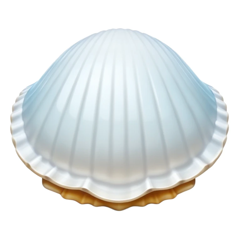 white shell sticker