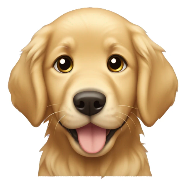 A golden retriever puppy saying “buy me Matthew” sticker