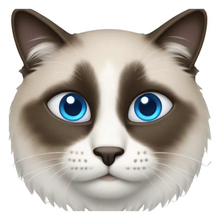 snowshoe cat with blue eyes sticker