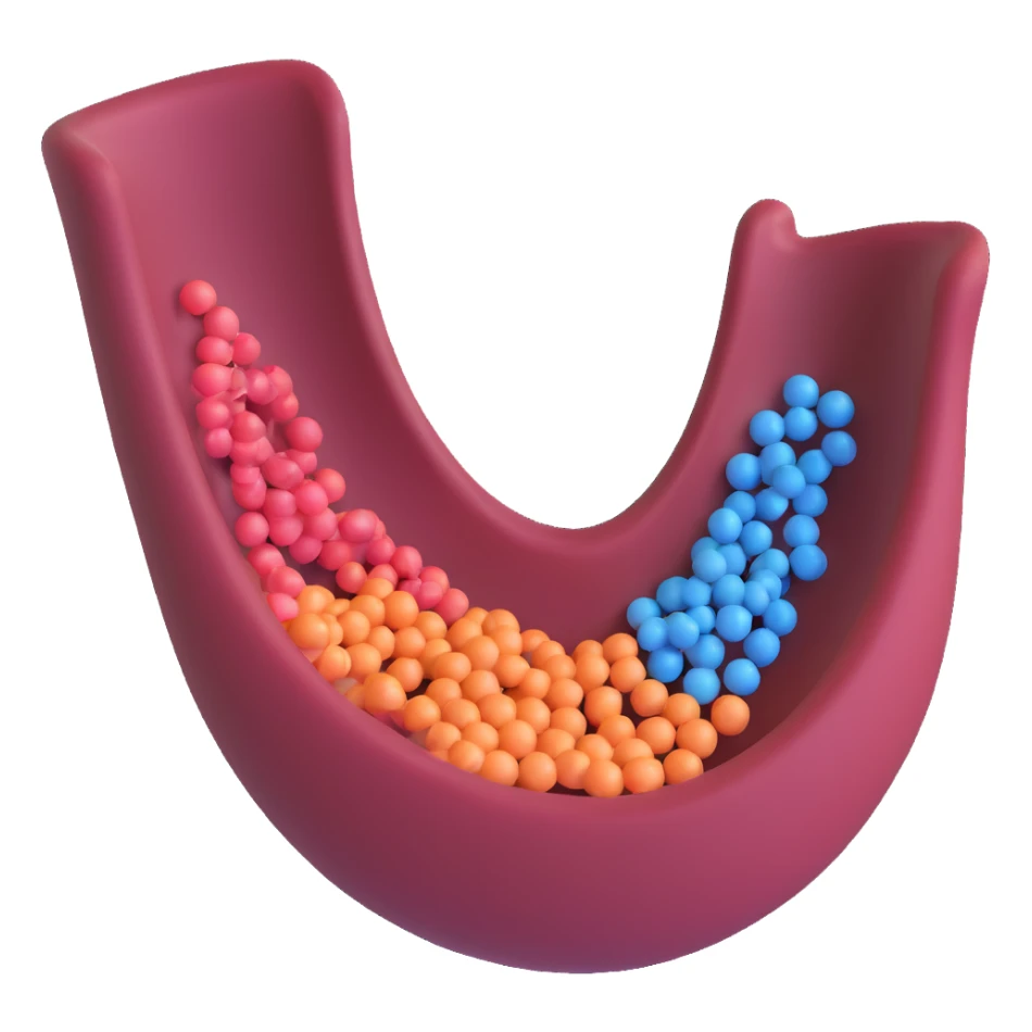 simple 3D illustration of a biomembrane with double phospholipid layer, a channel protein, small particles or arrows indicating transport through the channel, educational and easy to interpret sticker