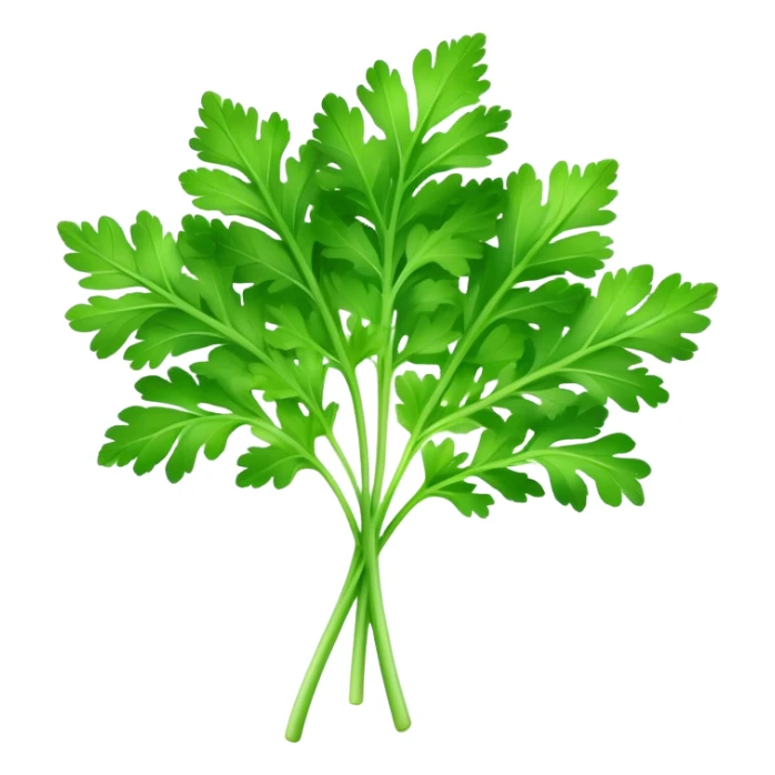 Cinematic Realistic Parsley Emoji, Fresh and vibrant, with bright green, frilly leaves that seem to shimmer with vitality. The plant exudes a sense of healthy growth and aromatic zest, inviting both beauty and flavor into any dish. Soft glowing outline, capturing the essence of freshness, health, and culinary delight in a sprig of parsley! sticker