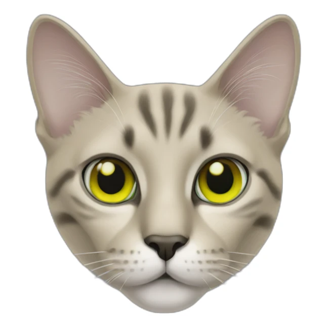 cat with black face yellow green eyes sticker